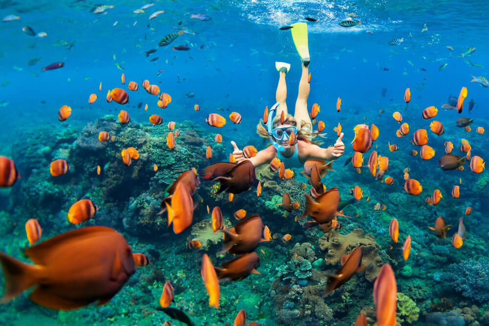 Serunya Belajar Sambil Bermain Mengenal Dunia Bawah Laut