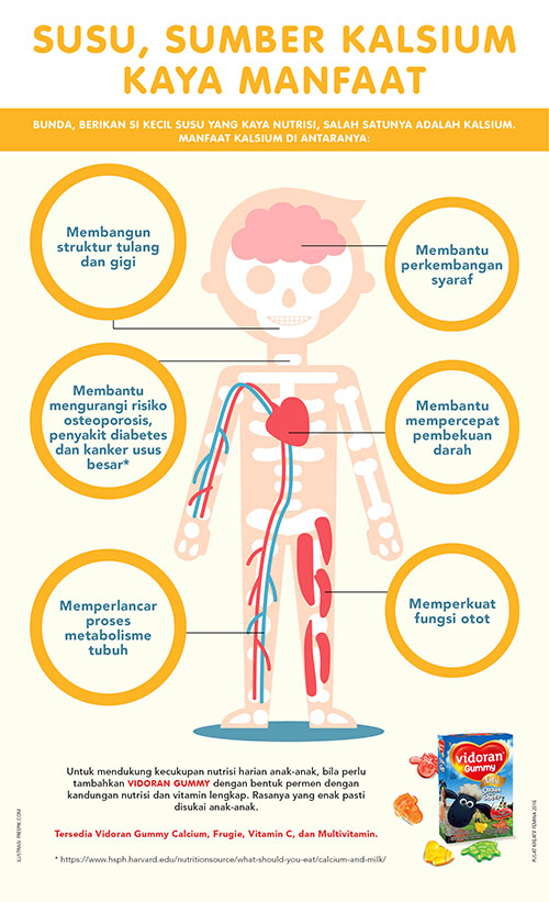 Susu Sumber Kalsium Kaya Manfaat