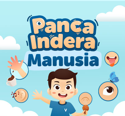 smartpedia: panca indera